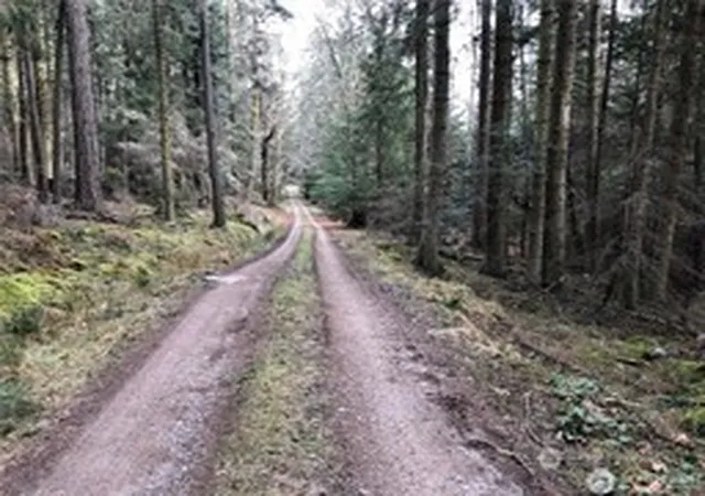 Photo 3 of Land for sale at 5 Lot Fauntleroy Point Rd, Decatur Island, WA 98221 | MLS# NWM2564806 | Listing updated on 2026-09-23