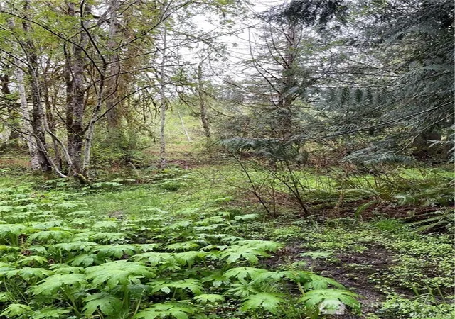 Photo 3 of Land for sale at 2616 Schirm Rd NW, Olympia, WA 98502 | MLS# NWM2564927 | Listing updated on 2026-09-22