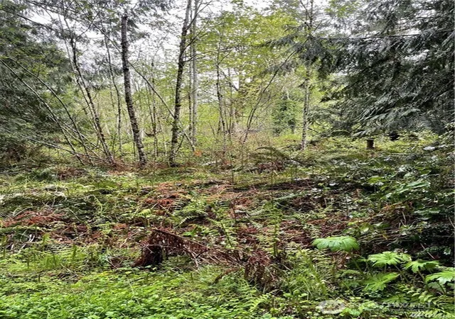 Photo 4 of Land for sale at 2616 Schirm Rd NW, Olympia, WA 98502 | MLS# NWM2564927 | Listing updated on 2026-09-22