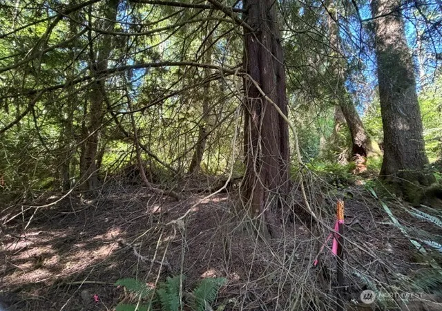 Photo 2 of Land for sale at 0 Weyers Ln Sw, Port Orchard, WA 98367 | MLS# NWM2565063 | Listing updated on 2026-09-23