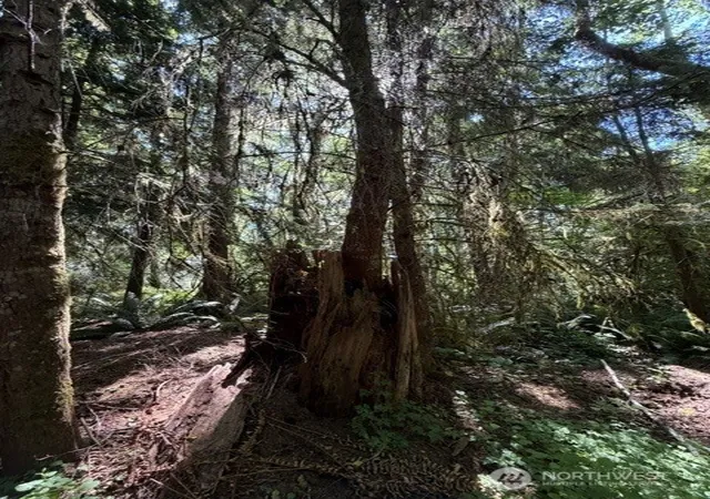 Photo 3 of Land for sale at 0 Weyers Ln SW, Port Orchard, WA 98367 | MLS# NWM2565063 | Listing updated on 2026-09-23