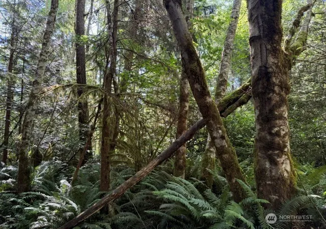 Photo 4 of Land for sale at 0 Weyers Ln SW, Port Orchard, WA 98367 | MLS# NWM2565063 | Listing updated on 2026-09-23