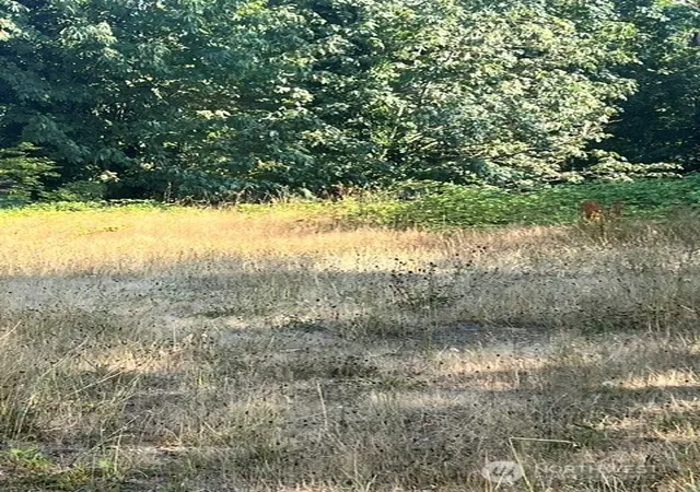 Photo 2 of Land for sale at 14845 Se 224th Street, Kent, WA 98042 | MLS# NWM2565067 | Listing updated on 2026-09-21