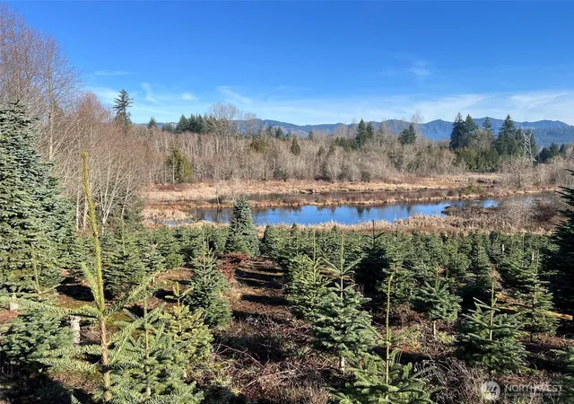 Photo 1 of Land for sale at 669 Cinebar Rd, Cinebar, WA 98533 | MLS# NWM2565075 | Listing updated on 2026-10-01