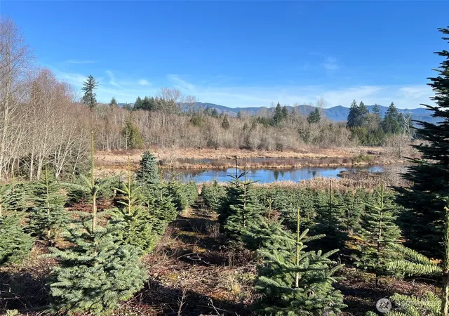 Photo 4 of Land for sale at 669 Cinebar Rd, Cinebar, WA 98533 | MLS# NWM2565075 | Listing updated on 2026-10-01