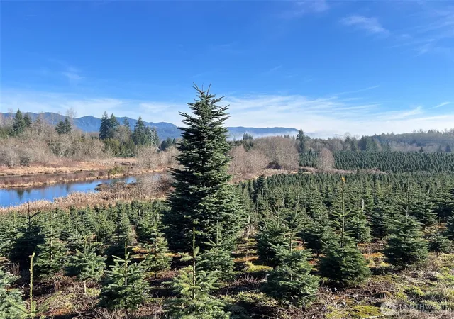 Photo 3 of Land for sale at 669 Cinebar Rd, Cinebar, WA 98533 | MLS# NWM2565075 | Listing updated on 2026-10-01