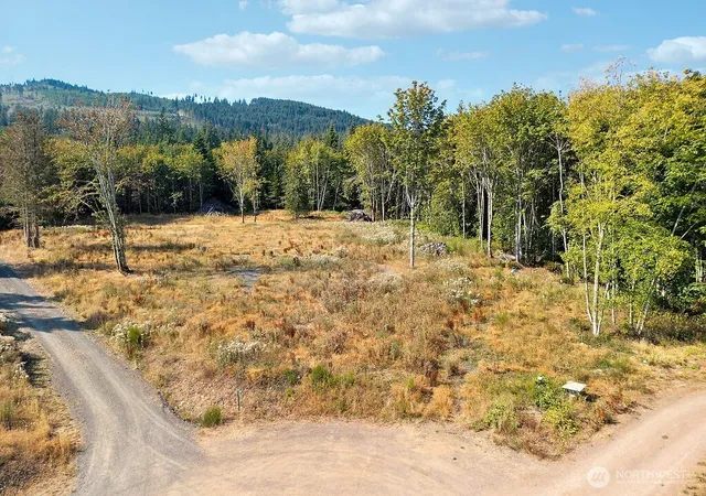 Photo 4 of Land for sale at 437 Black Bear Trl, Port Angeles, WA 98362 | MLS# NWM2565195 | Listing updated on 2026-09-23
