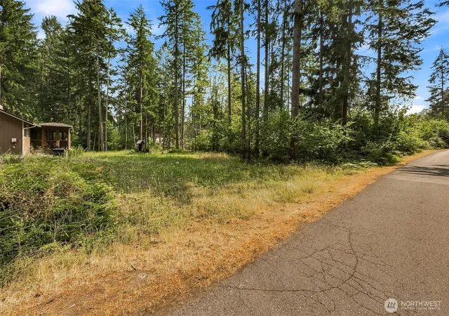 Photo 2 of Land for sale at 18109 Stoney Ct Se, Yelm, WA 98597 | MLS# NWM2565205 | Listing updated on 2026-09-23