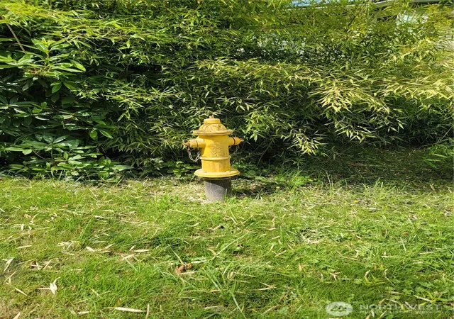 Photo 3 of Land for sale at 239 Water St, Hamilton, WA 98255 | MLS# NWM2565316 | Listing updated on 2026-09-21