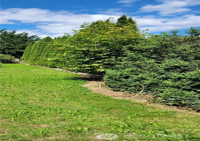 Photo 4 of Land for sale at 239 Water St, Hamilton, WA 98255 | MLS# NWM2565316 | Listing updated on 2026-09-21