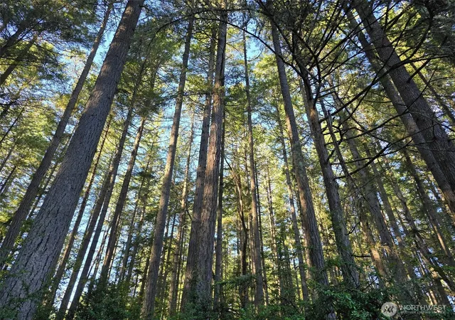 Photo 2 of Land for sale at 11620 Mill Pl, Anderson Island, WA 98303 | MLS# NWM2565346 | Listing updated on 2026-09-23