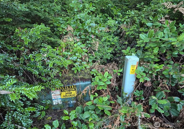 Photo 4 of Land for sale at 11620 Mill Pl, Anderson Island, WA 98303 | MLS# NWM2565346 | Listing updated on 2026-09-23