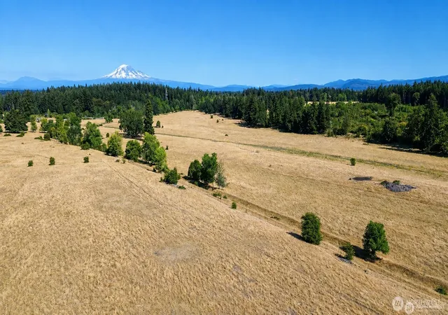 Photo 1 of Single family home for sale at 12306 Bald Hl Rd Se, Yelm, WA 98597 | MLS# NWM2565417 | Listing updated on 2026-09-23