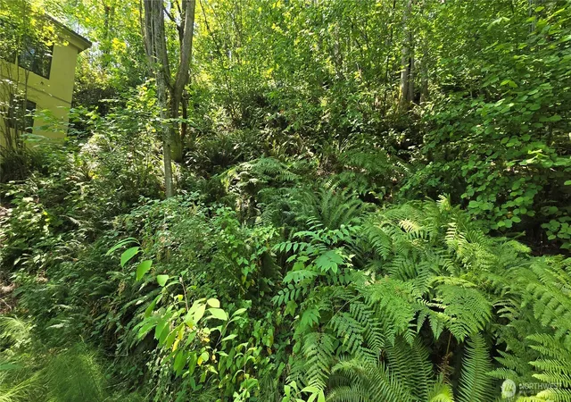 Photo 3 of Land for sale at 501 33rd Avenue S, Seattle, WA 98144 | MLS# NWM2565593 | Listing updated on 2026-09-23