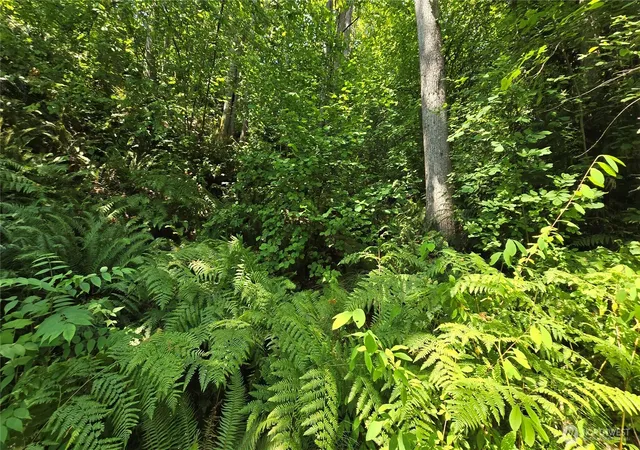 Photo 4 of Land for sale at 501 33rd Avenue S, Seattle, WA 98144 | MLS# NWM2565593 | Listing updated on 2026-09-23