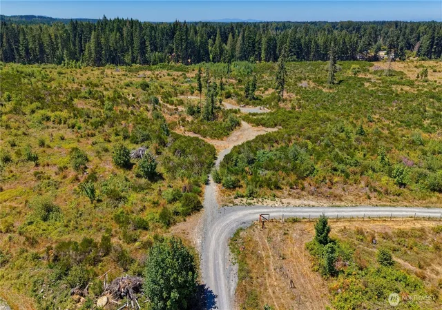 Land for sale at 2906 357th Street E, Eatonville, WA 98328 | MLS# NWM2565700