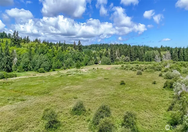 Photo 4 of Land for sale at 119 184th Avenue Ct SW, Lakebay, WA 98349 | MLS# NWM2565877 | Listing updated on 2026-09-23