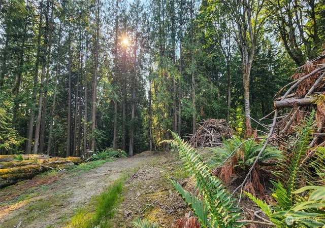 Photo 4 of Land for sale at 18813 126th Street SE, Snohomish, WA 98290 | MLS# NWM2565897 | Listing updated on 2026-09-23