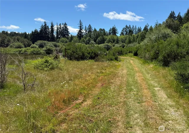Photo 4 of Land for sale at 313 184th Avenue Ct SW, Lakebay, WA 98349 | MLS# NWM2565915 | Listing updated on 2026-09-23