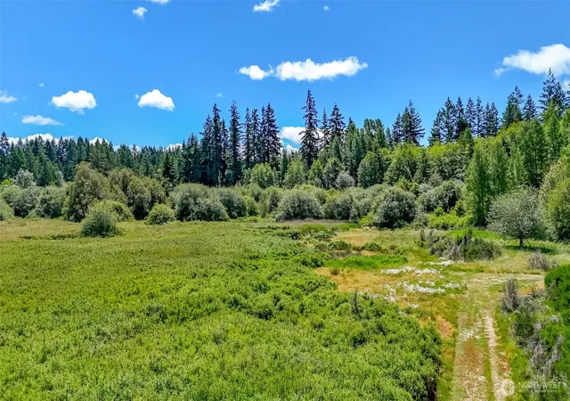 Photo 2 of Land for sale at 317 184th Avenue Ct Sw, Lakebay, WA 98349 | MLS# NWM2565930 | Listing updated on 2026-09-23