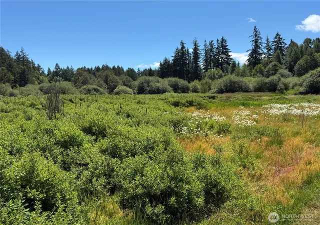 Photo 4 of Land for sale at 317 184th Avenue Ct SW, Lakebay, WA 98349 | MLS# NWM2565930 | Listing updated on 2026-09-23