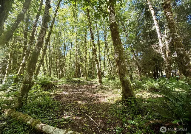 Photo 1 of Land for sale at 292 Sportmans Clb Rd, Forks, WA 98331 | MLS# NWM2565953 | Listing updated on 2026-09-23
