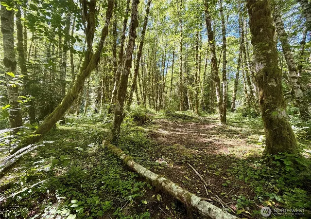 Photo 2 of Land for sale at 292 Sportmans Clb Rd, Forks, WA 98331 | MLS# NWM2565953 | Listing updated on 2026-09-23