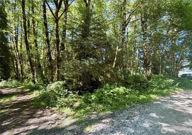 Photo 3 of Land for sale at 292 Sportmans Clb Rd, Forks, WA 98331 | MLS# NWM2565953 | Listing updated on 2026-09-23