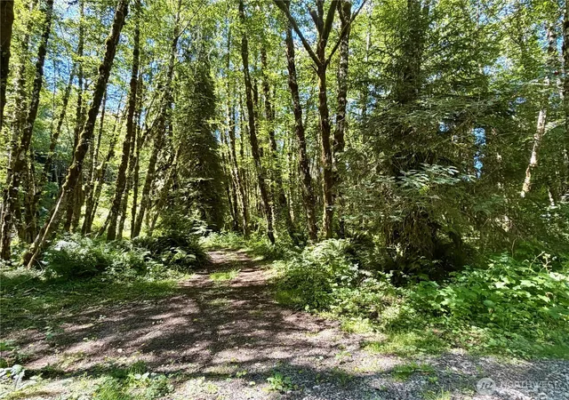 Photo 3 of Land for sale at 292 Sportmans Clb Rd, Forks, WA 98331 | MLS# NWM2565953 | Listing updated on 2026-09-23