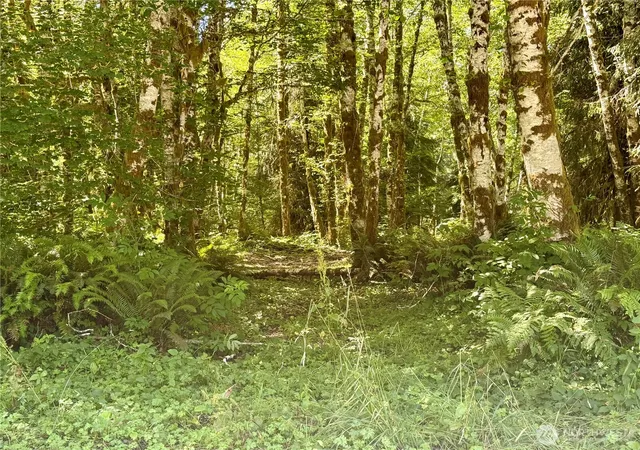 Photo 4 of Land for sale at 292 Sportmans Clb Rd, Forks, WA 98331 | MLS# NWM2565953 | Listing updated on 2026-09-23