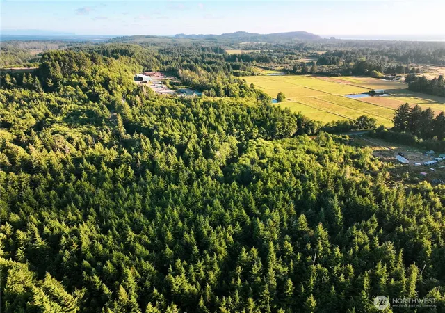Photo 2 of Sale Pending at 4201 67th Place E, Long Beach, WA 98631 | MLS# NWM2566060 | Listing updated on 2026-09-26