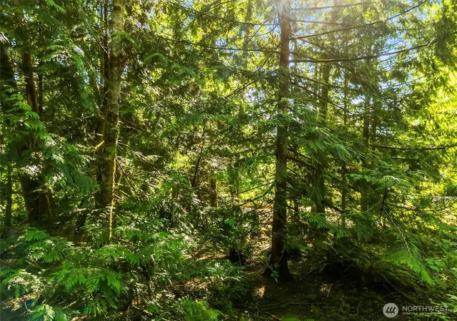 Photo 1 of Sale Pending at 0 Beaver Pl, Sedro Woolley, WA 98284 | MLS# NWM2566104 | Listing updated on 2026-09-19