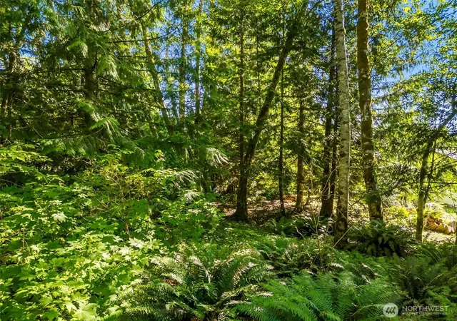 Photo 3 of Sale Pending at 0 Beaver Pl, Sedro Woolley, WA 98284 | MLS# NWM2566104 | Listing updated on 2026-09-19