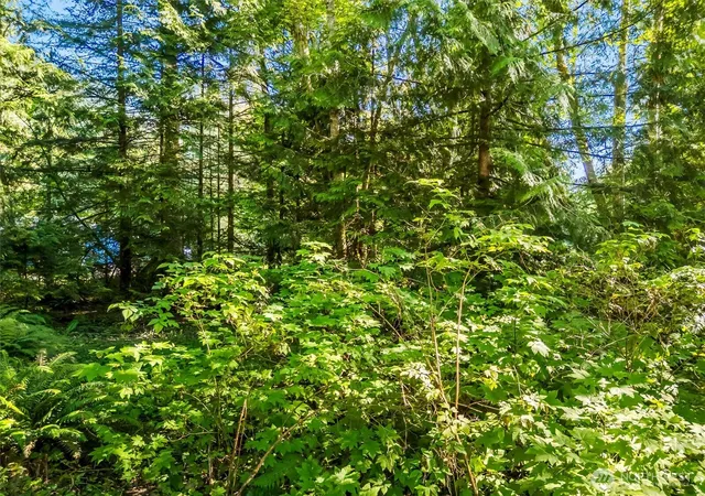 Photo 3 of Sale Pending at 0 Beaver Pl, Sedro Woolley, WA 98284 | MLS# NWM2566104 | Listing updated on 2026-09-19