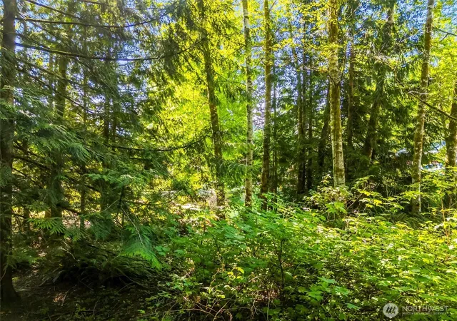 Photo 4 of Sale Pending at 0 Beaver Pl, Sedro Woolley, WA 98284 | MLS# NWM2566104 | Listing updated on 2026-09-19