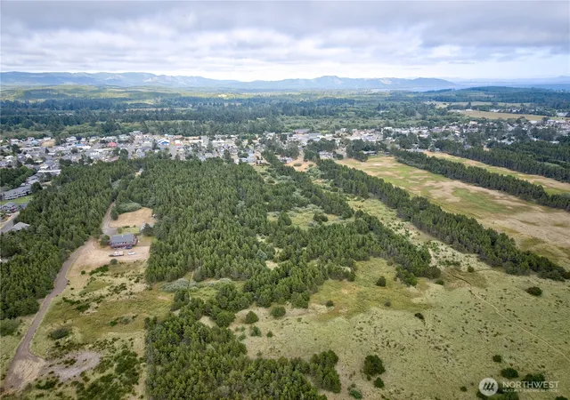 Photo 4 of Land for sale at 995 50th Lane, Seaview, WA 98644 | MLS# NWM2566140 | Listing updated on 2026-09-23