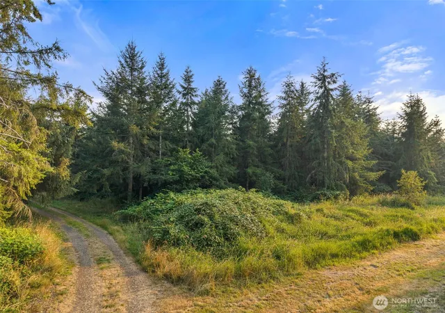 Photo 1 of Land for sale at 1 Parcel Aslpach Rd, Onalaska, WA 98570 | MLS# NWM2566191 | Listing updated on 2026-09-23