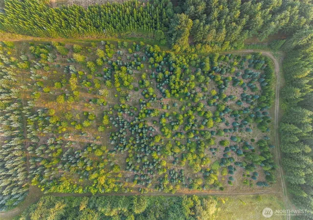Photo 3 of Land for sale at 4 Parcel 4 Alspach Rd, Onalaska, WA 98570 | MLS# NWM2566195 | Listing updated on 2026-09-21