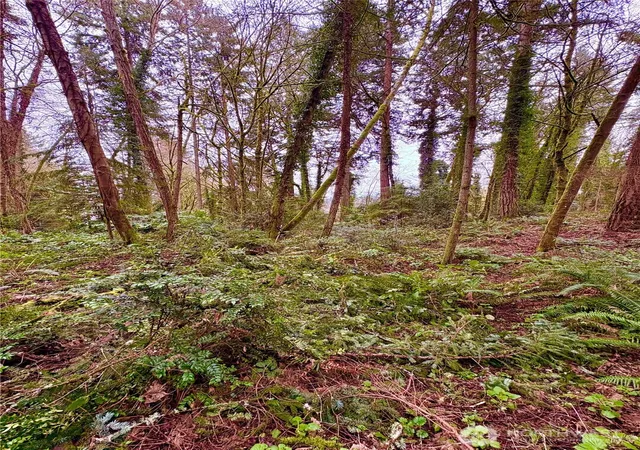 Photo 1 of Land for sale at 0 Sw 230th Street, Vashon, WA 98070 | MLS# NWM2566244 | Listing updated on 2026-09-23