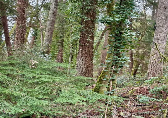 Photo 2 of Land for sale at 0 Sw 230th Street, Vashon, WA 98070 | MLS# NWM2566244 | Listing updated on 2026-09-23