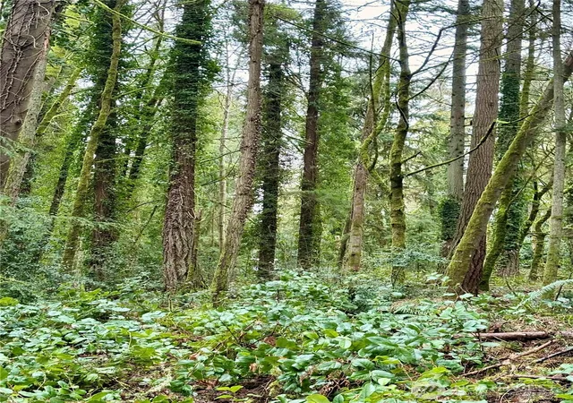Photo 3 of Land for sale at 0 Sw 230th Street, Vashon, WA 98070 | MLS# NWM2566244 | Listing updated on 2026-09-23