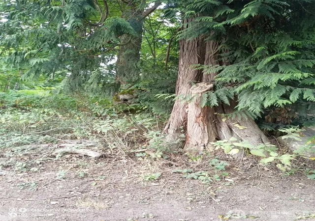 Photo 2 of Land for sale at 51 F Saratoga Dr, Hat Island, WA 98206 | MLS# NWM2566335 | Listing updated on 2026-09-23