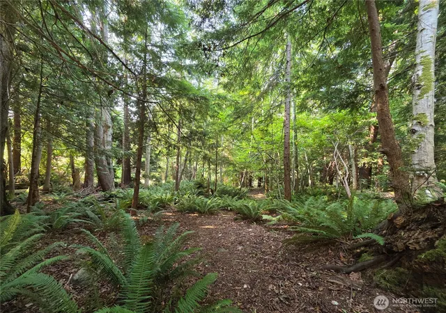Photo 1 of Land for sale at 0 Cirque Dr, Brinnon, WA 98320 | MLS# NWM2566465 | Listing updated on 2026-09-23