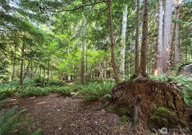 Photo 2 of Land for sale at 0 Cirque Dr, Brinnon, WA 98320 | MLS# NWM2566465 | Listing updated on 2026-09-23