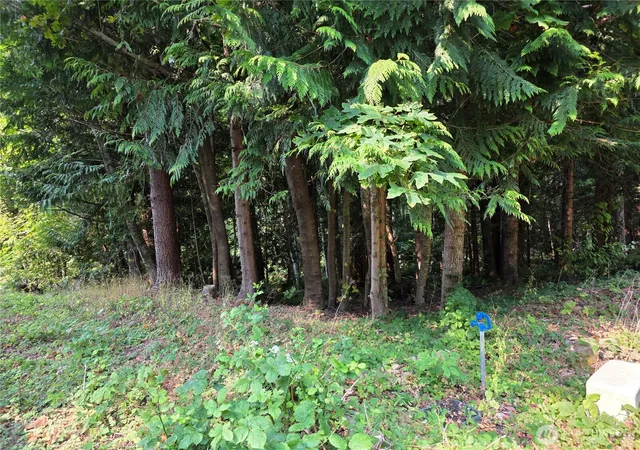 Photo 3 of Land for sale at 0 Cirque Dr, Brinnon, WA 98320 | MLS# NWM2566465 | Listing updated on 2026-09-23