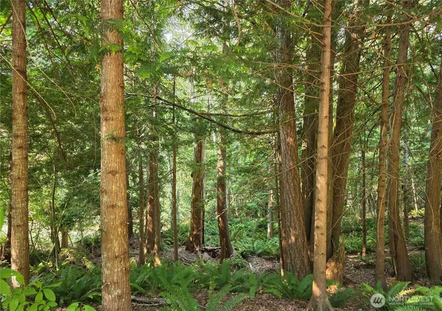 Photo 3 of Land for sale at 0 Cirque Dr, Brinnon, WA 98320 | MLS# NWM2566465 | Listing updated on 2026-09-23