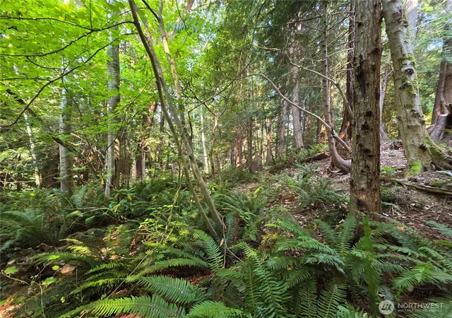 Photo 4 of Land for sale at 0 Cirque Dr, Brinnon, WA 98320 | MLS# NWM2566465 | Listing updated on 2026-09-23