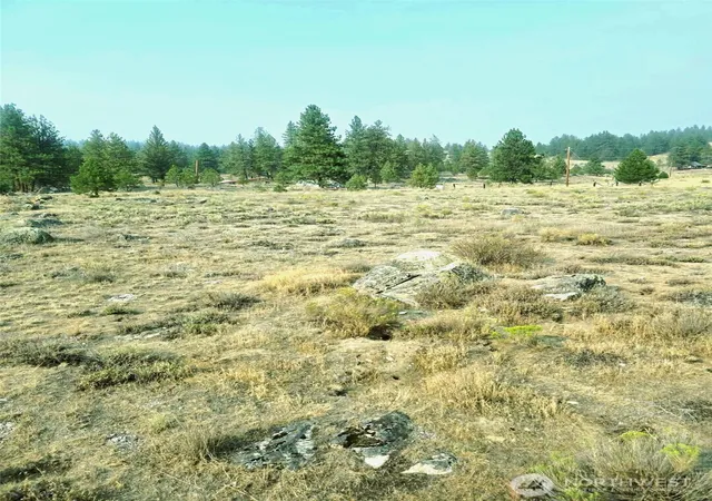 Photo 2 of Land for sale at 41 Tbd Main Rd, Tonasket, WA 98855 | MLS# NWM2566683 | Listing updated on 2026-09-23