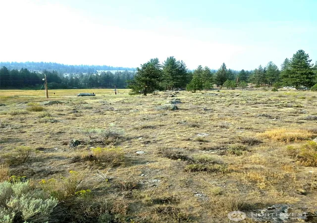Photo 3 of Land for sale at 41 Tbd Main Rd, Tonasket, WA 98855 | MLS# NWM2566683 | Listing updated on 2026-09-23
