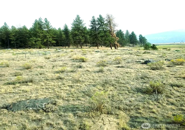 Photo 3 of Land for sale at 41 Tbd Main Rd, Tonasket, WA 98855 | MLS# NWM2566683 | Listing updated on 2026-09-23